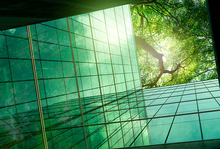 palazzi di vetro visti dal basso con visuale sugli alberi verdi